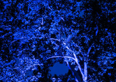 Olson Weaver Lighting Design & Install