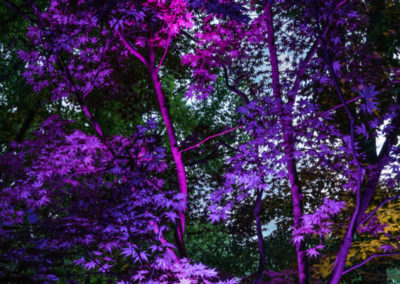 Olson Weaver Lighting Design & Install