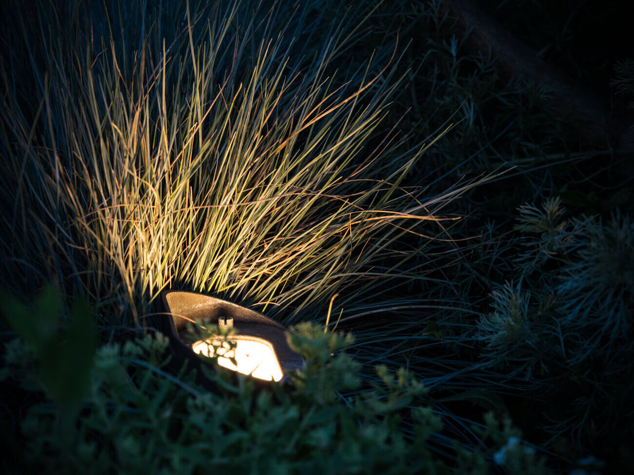 Olson Weaver Lighting Design & Install