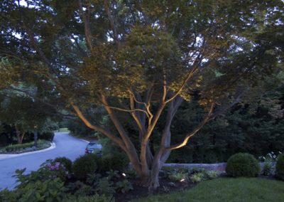 Olson Weaver Lighting Design & Install