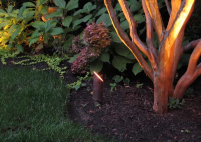 Olson Weaver Lighting Design & Install