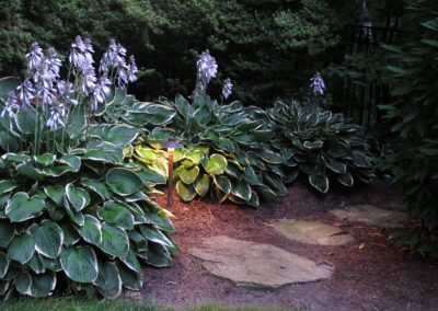 Olson Weaver Lighting Design & Install