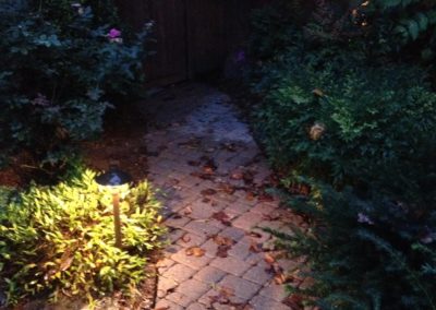Olson Weaver Lighting Design & Install