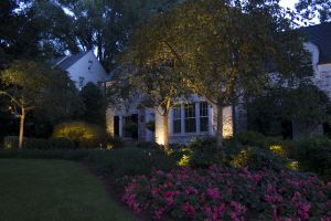 Loughborough Outdoor Lighting design and installation | Olson Weaver LLC