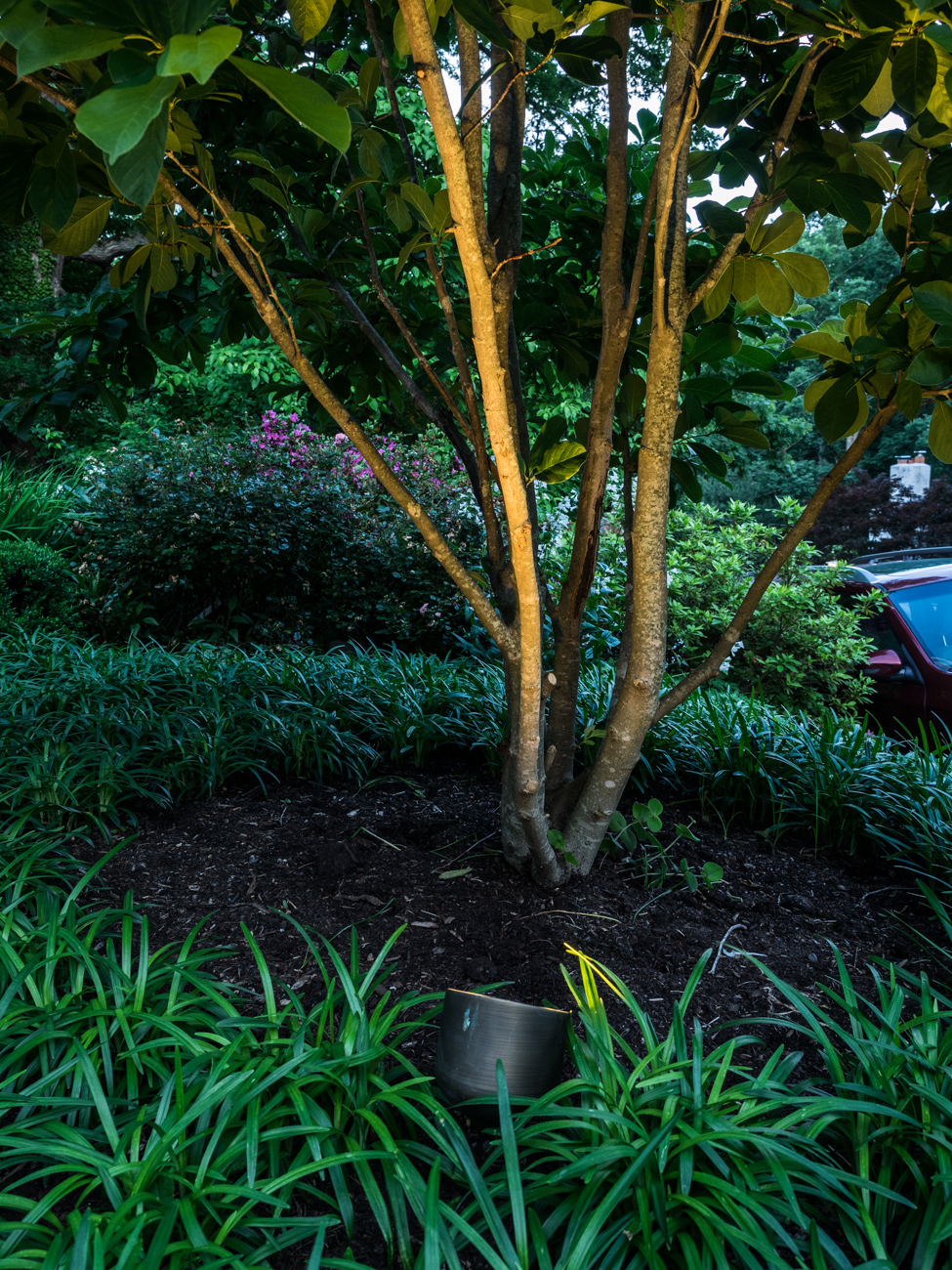 Outdoor Lighting Design Arlington, VA | Olson Weaver