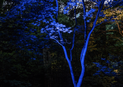 Color Changing outdoor lights