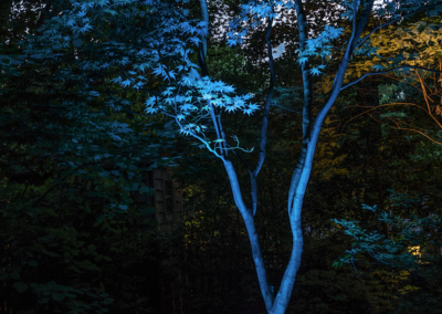 Color Changing Up lights