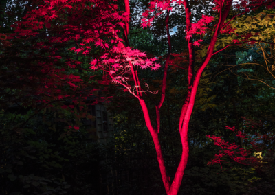 Color Changing Up lighting