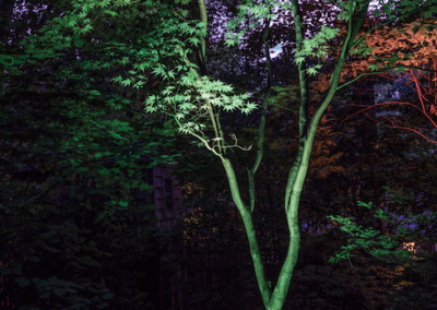 Color Changing Up lights