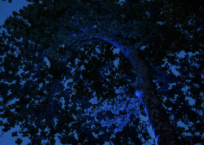 Screen Shot 2022 11 15 at 10.53.02 AM