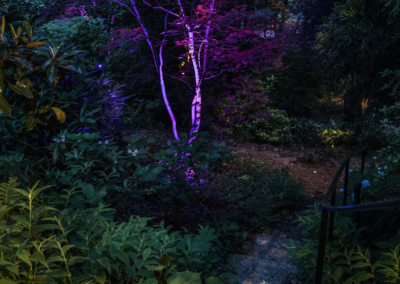 Color Changing Uplights