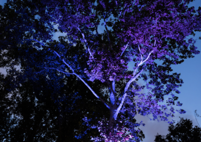 Color Changing Up lights